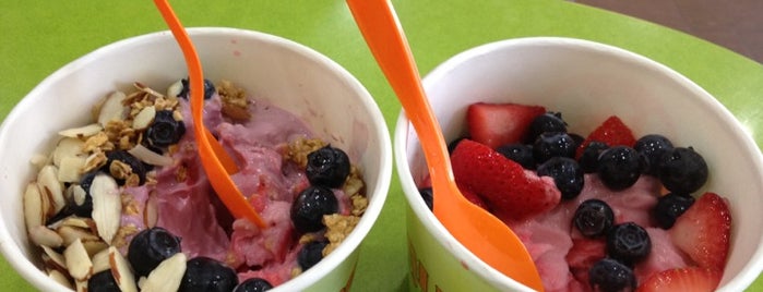 Yogli Mogli Frozen Yogurt is one of All Around Douglasville.