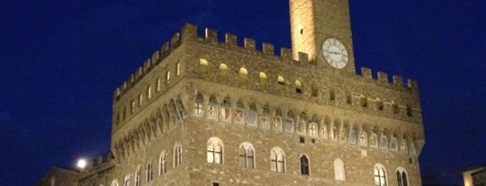Piazza della Signoria is one of Firenze.