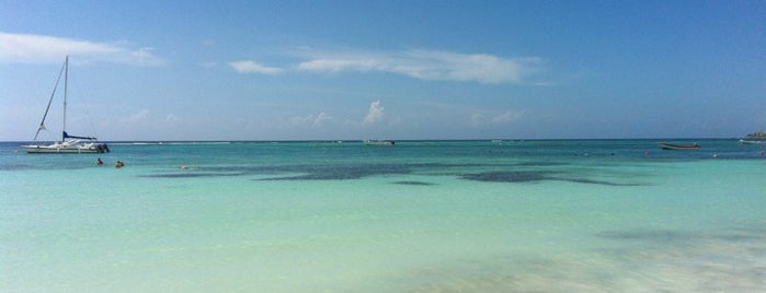 Akumal Dive Center is one of México (Riviera Maya).