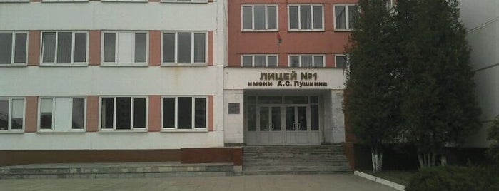 Лицей № 1 им. А.С. Пушкина is one of Учреждения образования Бреста.