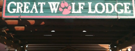 Great Wolf Lodge is one of Tempat yang Disimpan Heather.