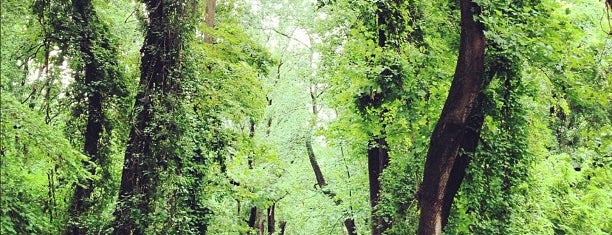 Patapsco Valley State Park is one of Best Bmore Running Trails.