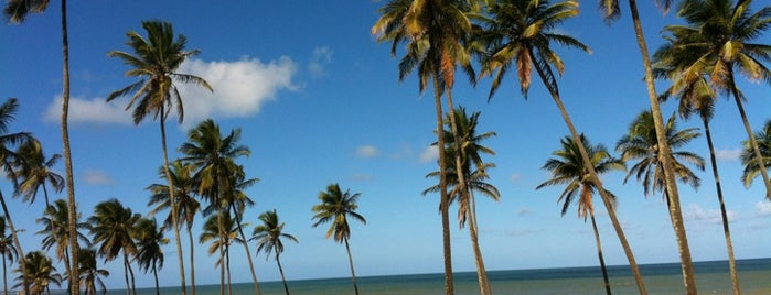 Praia de Itapuã is one of Salvador.