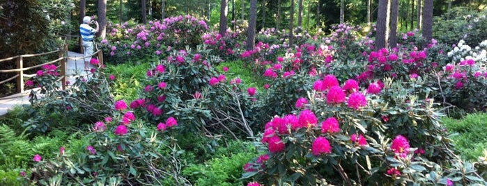 Rhododendron Park is one of Sights in Helsinki.