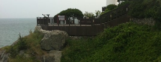 Dongbaekseom Island is one of Busan #4sqCities.