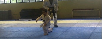 Cody's Taekwondo Training is one of Chicken Joy.
