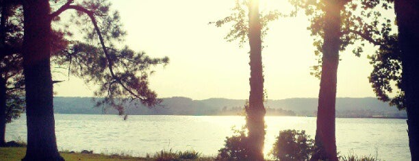 Lake Guntersville is one of Christyさんのお気に入りスポット.