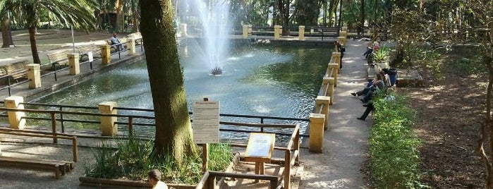 Parque da Água Branca is one of em Sampa.