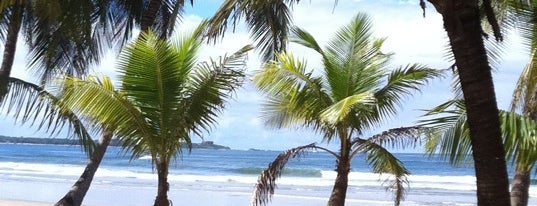 Playa Grande is one of Golden Coast, Costa Rica.