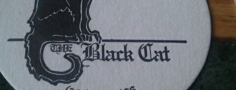 The Black Cat is one of Bellingham Bars.