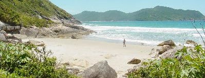 Praia do Saquinho is one of Floripa Golden Isle.