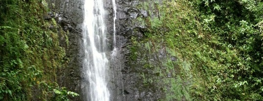 Mānoa Falls is one of Honolulu's Best Entertainment - 2012.