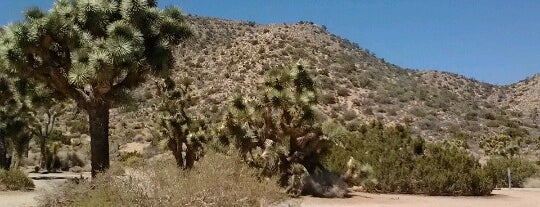 Joshua Tree National Park is one of National Parks.