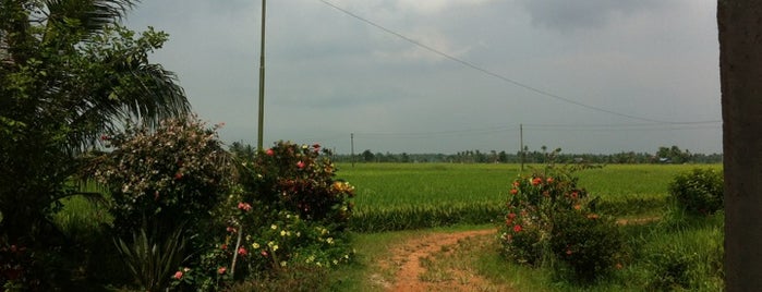 Sawah sempadan, tanjung karang is one of ꌅꁲꉣꂑꌚꁴꁲ꒒さんの保存済みスポット.