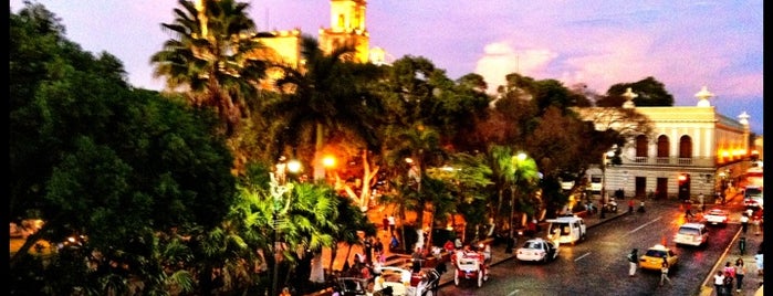 Lugares para visitar en Merida!!!