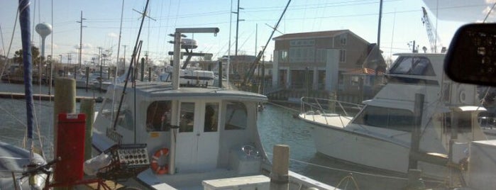 Morehead City Yacht Basin is one of Member Discounts: South East.