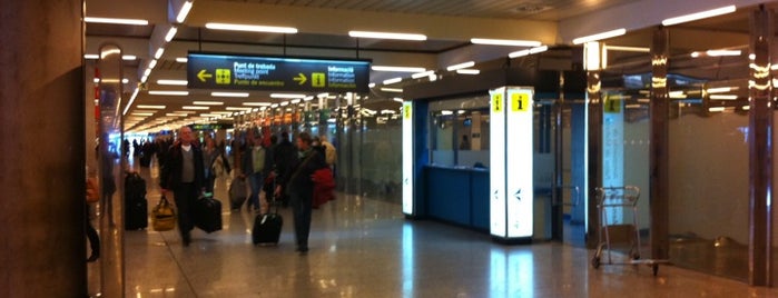 팔마데마요르카 공항 (PMI) is one of Airports Visited.