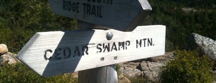 Cedar Swamp Mountain is one of Guide to Mt Desert's best spots.