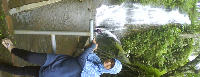 Waterfall RoRo Kuning is one of Obyek Wisata Jawa Timur SELAIN Malang Surabaya.