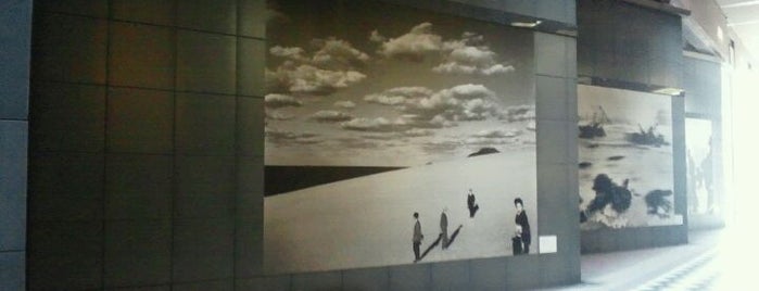 Tokyo Photographic Art Museum is one of Japan must-dos!.