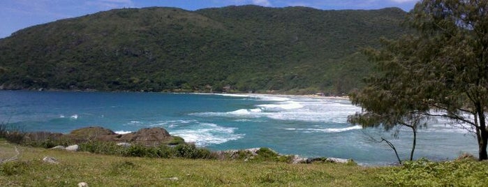 Praia da Armação is one of Praias de Florianópolis.