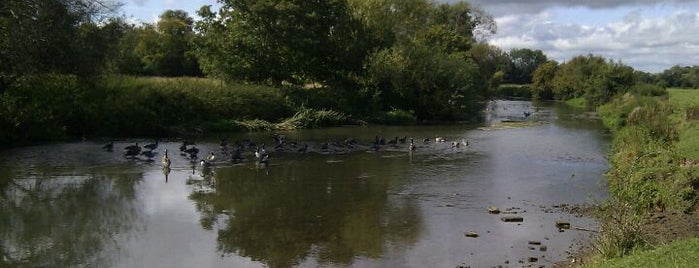 Common Meadow is one of Del’s Liked Places.