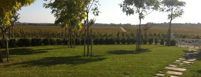 Chateau Pontet Canet is one of フランス旅.