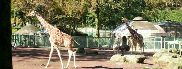 多摩動物公園 is one of 鳥のいるスポット.