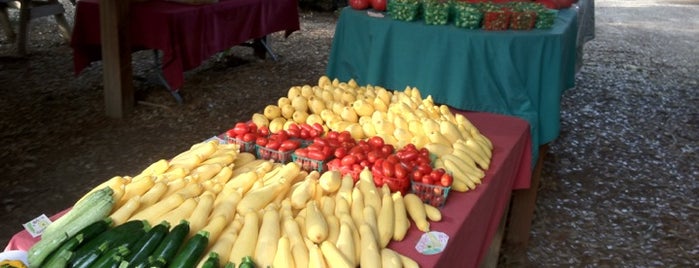 Boggy Creek Farms is one of Austin To-Do.