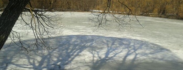 Izmaylovsky Park is one of ПАРК ИЗМАЙЛОВО.