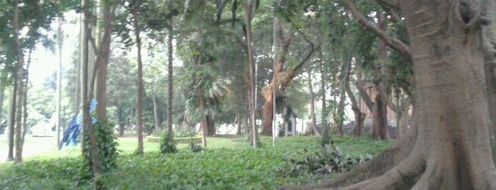 Parque Jardim da Luz is one of no Centro.