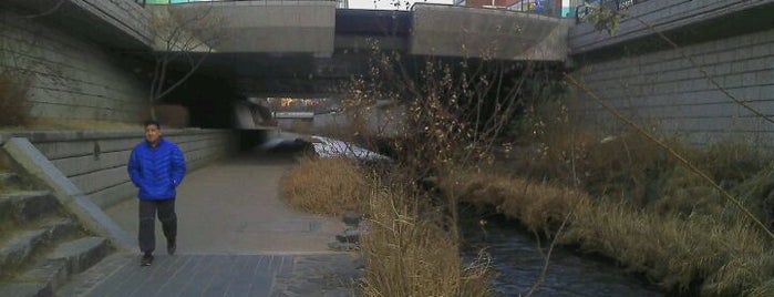 세운교 is one of Bridges over Cheonggyecheon.