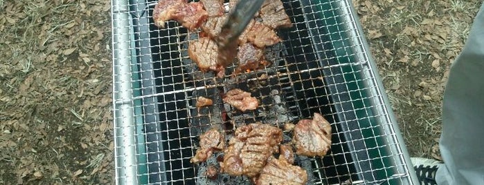 野川公園 is one of 東京周辺BBQスポット.
