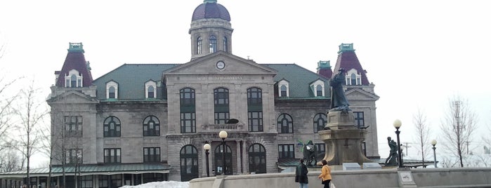 Marché Maisonneuve is one of Marchés publics montréalais.