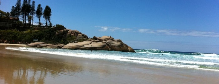 Praia da Joaquina is one of Florianópolis.