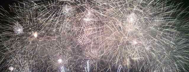 Seoul International Fireworks Festival 2011 is one of Swarming Places in S.Korea.