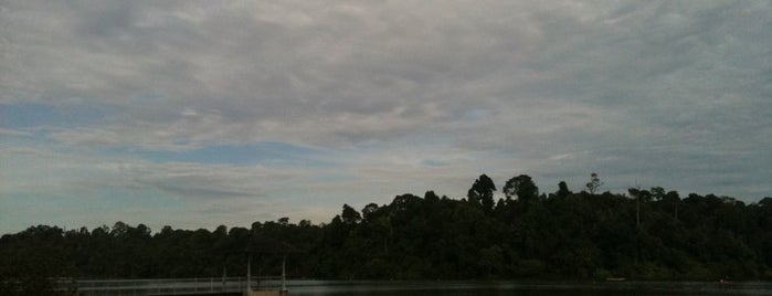 MacRitchie Reservoir Park is one of Singapore's Popular Places.