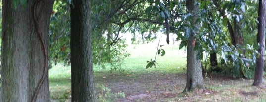 Sangchris Lake State Park is one of Lakes And Historic Sites.