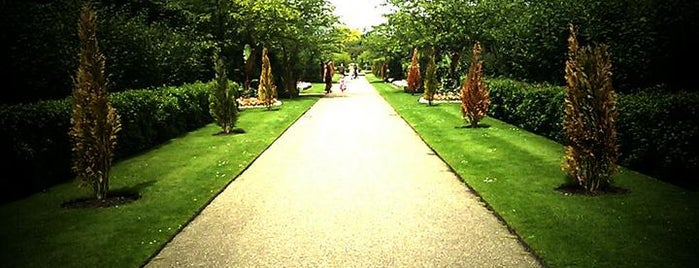 Regent's Park is one of London.