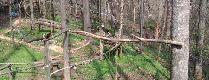 Bear Hollow Wildlife Trail is one of Historic Heartland.