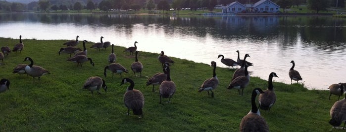 Northmoreland Park is one of Fun Time.