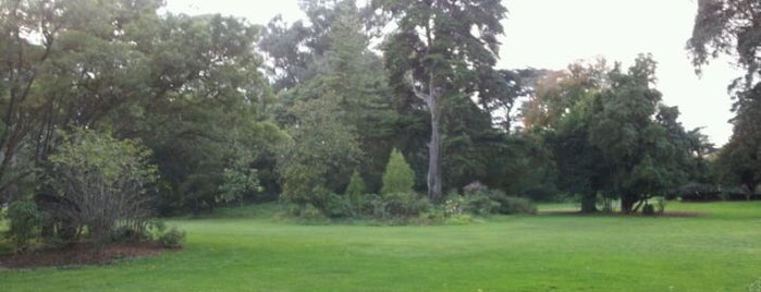 Golden Gate Park is one of Star Trek - Places of interest.