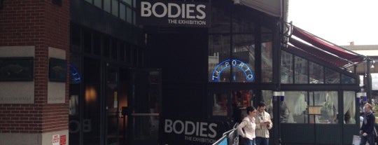 BODIES...The Exhibition is one of Things To Do In NYC.