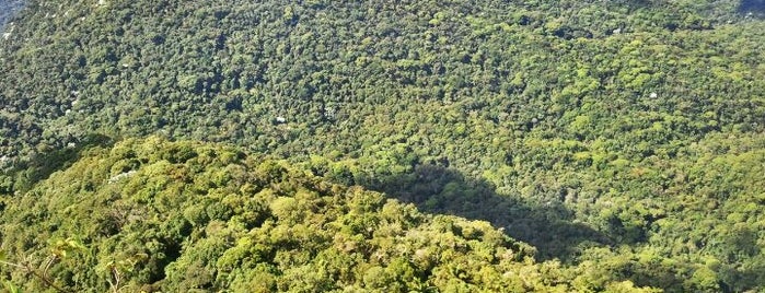 Pico da Tijuca is one of Rio.