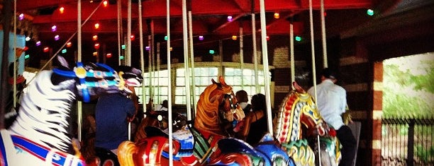 Central Park Carousel is one of The Great Outdoors NY.