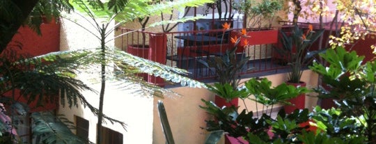 The Red Tree House is one of 36 Hours in Mexico City.