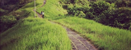 Bukit Campuhan is one of Beautiful places to do an engagement photo in Bali.