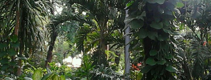 Taman Flora is one of Taman di Surabaya.