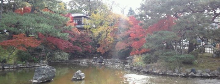 Maruyama Park is one of 京都の定番スポット　Famous sightseeing spots in Kyoto.