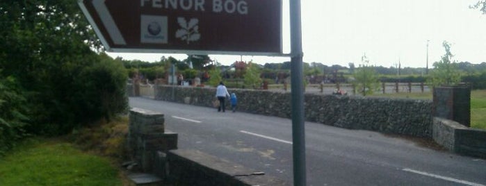 Fenor play park is one of Tramore.